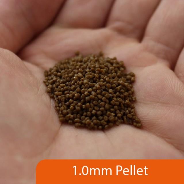 NT Labs Pro-f Nano Tropical - 45g