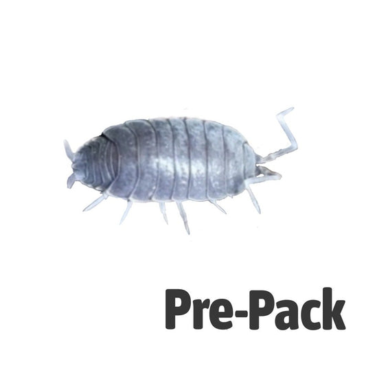 Tropical Grey Woodlice - Reptile Livefoods