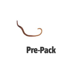 Small Worms (dendrobaena) Pre-pack-35-50-100