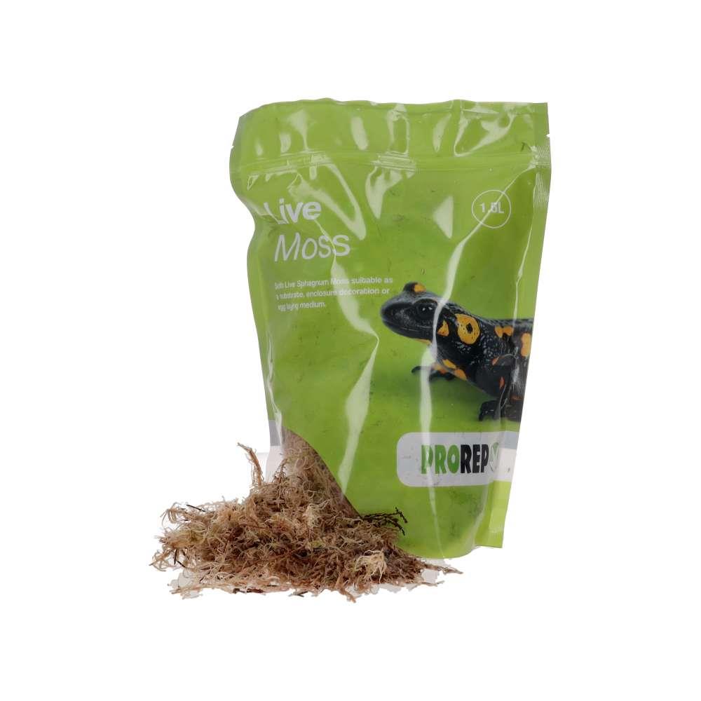 PR Live Moss, Small Bag (approx 1.5L)
