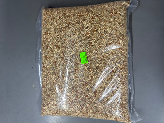 Budgie Seed