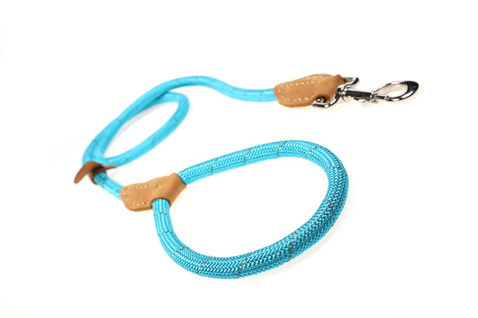 Doodlebone Originals Plain Slip Lead Size 12mm - Aqua Cyan