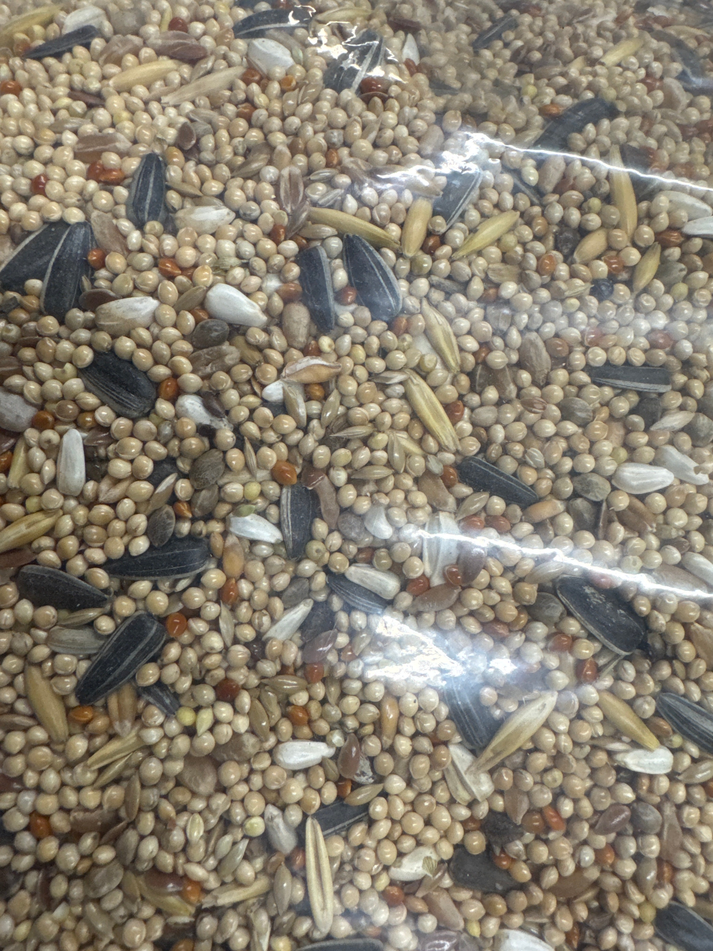 Cockatiel & Parakeet Exotic Bird Mix 1200g