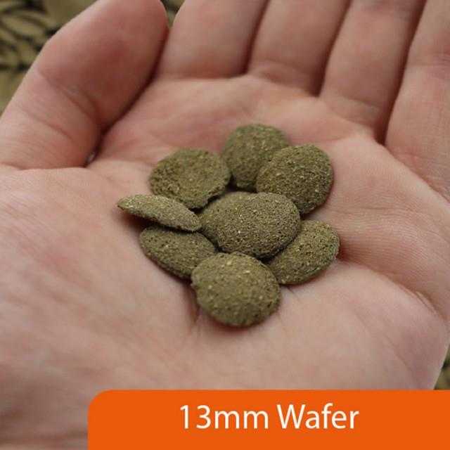 NT Algae Wafers 40g Pot