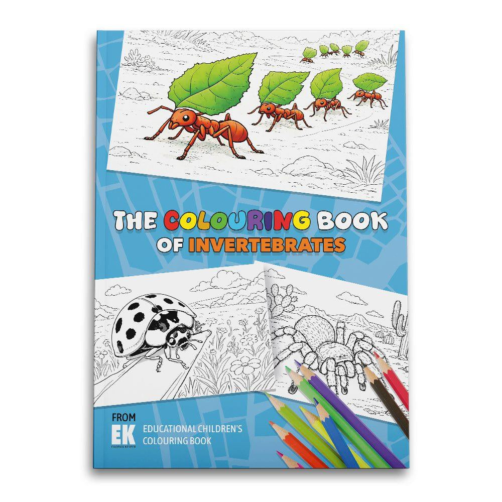 EK Colouring Book INVERTEBRATES