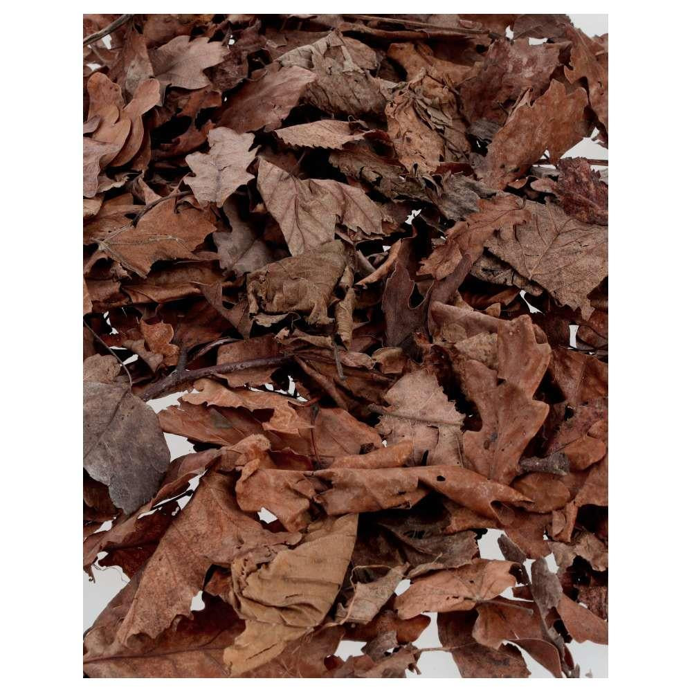 ProRep - Bio Life Leaf Litter - 3L