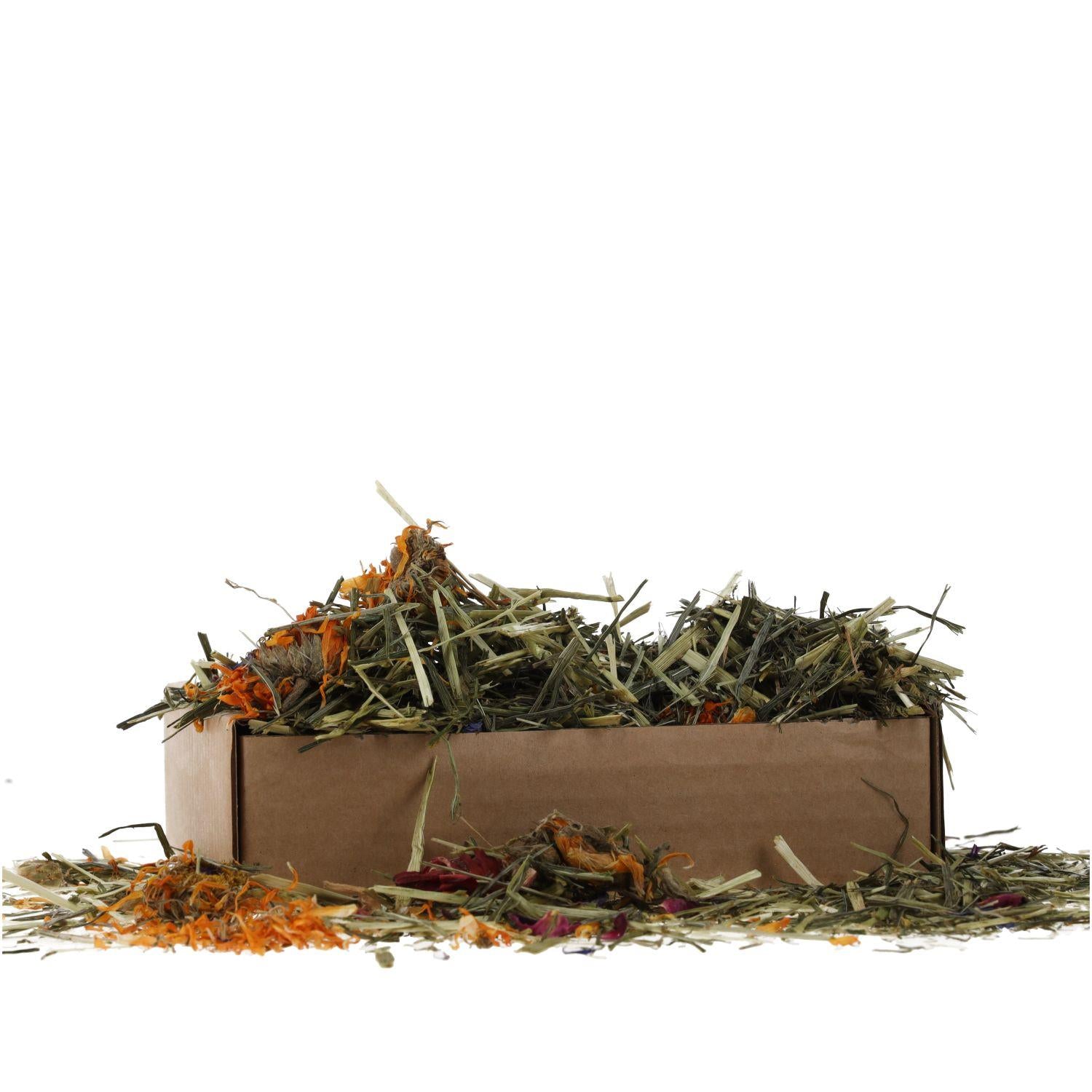 ProRep Tortoise Flower Foraging Tray 70g