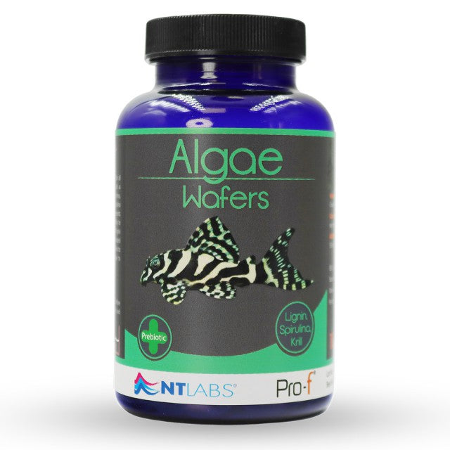 NT Labs Pro-F Algae Wafers 110g