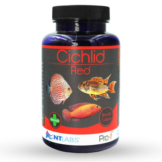 NT Labs Pro-f Cichlid Red 48 - 60g